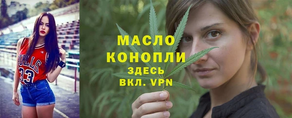 гашик Верея