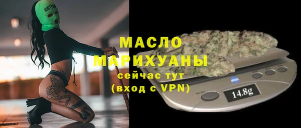 гашик Верея